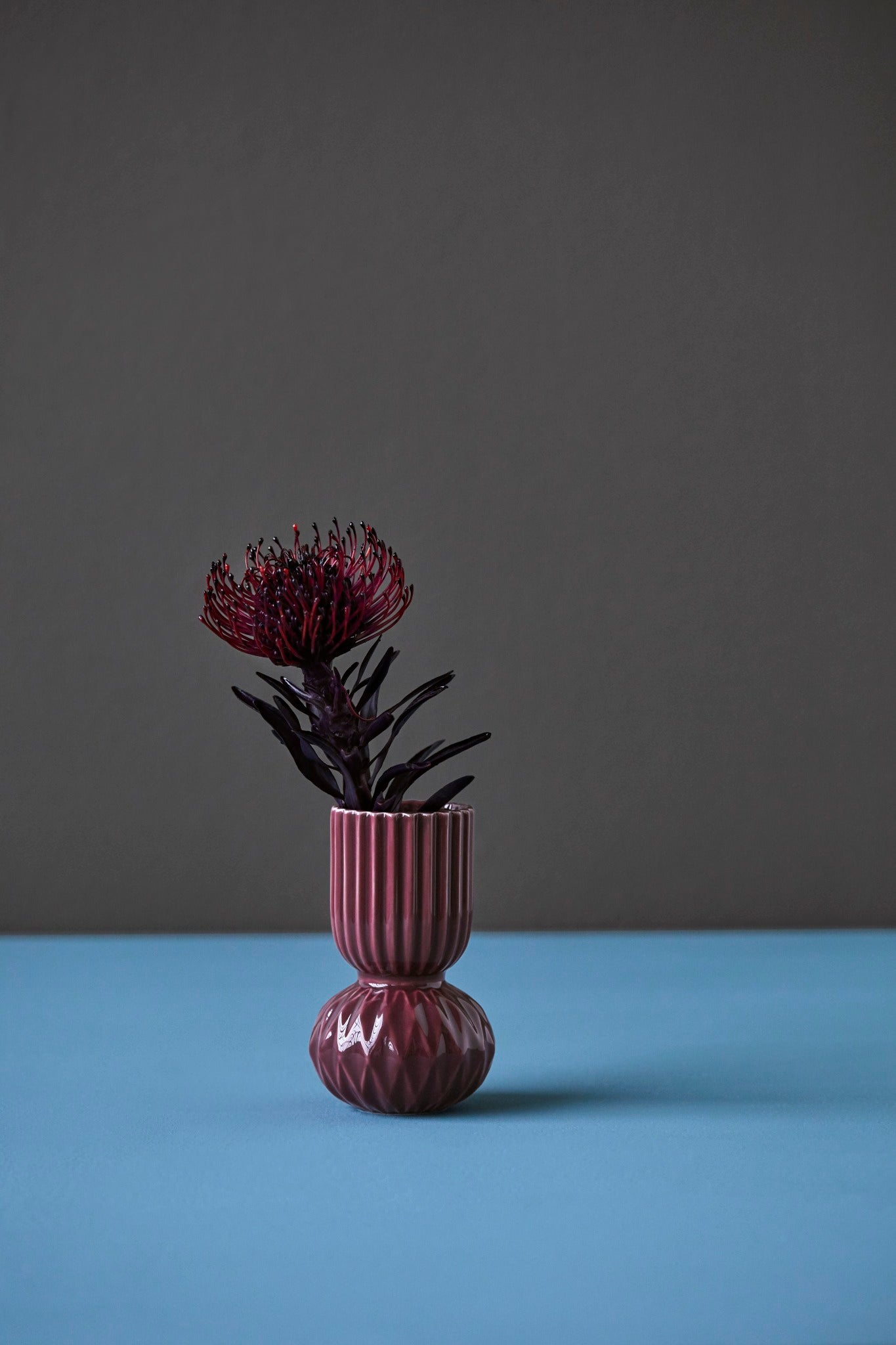 Samsurium Rufflebell, aubergine