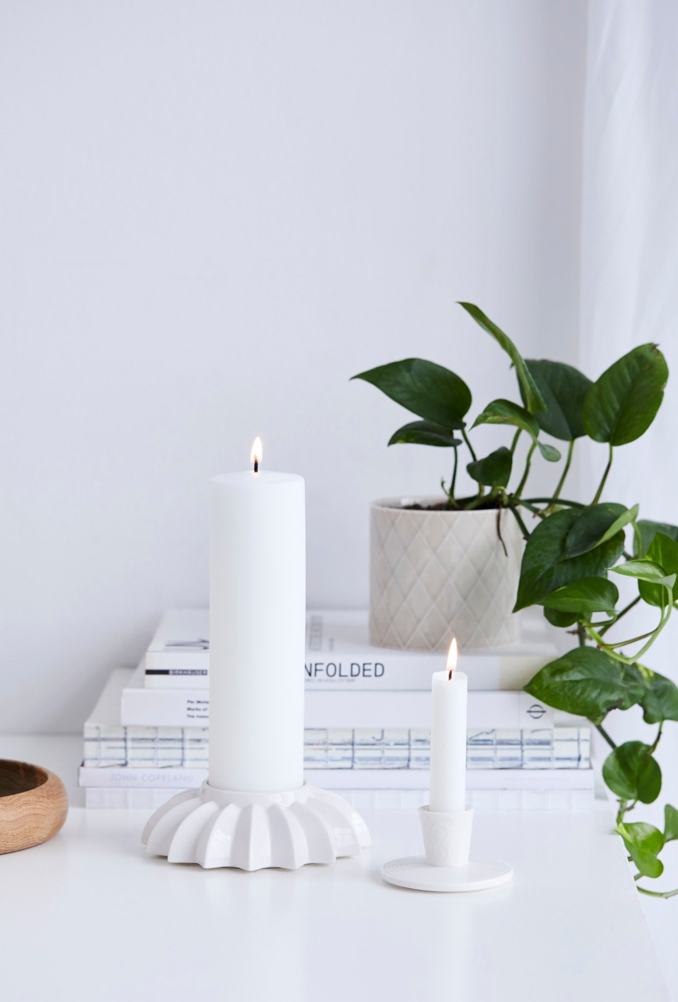 Pipanella candlestick lines flower white