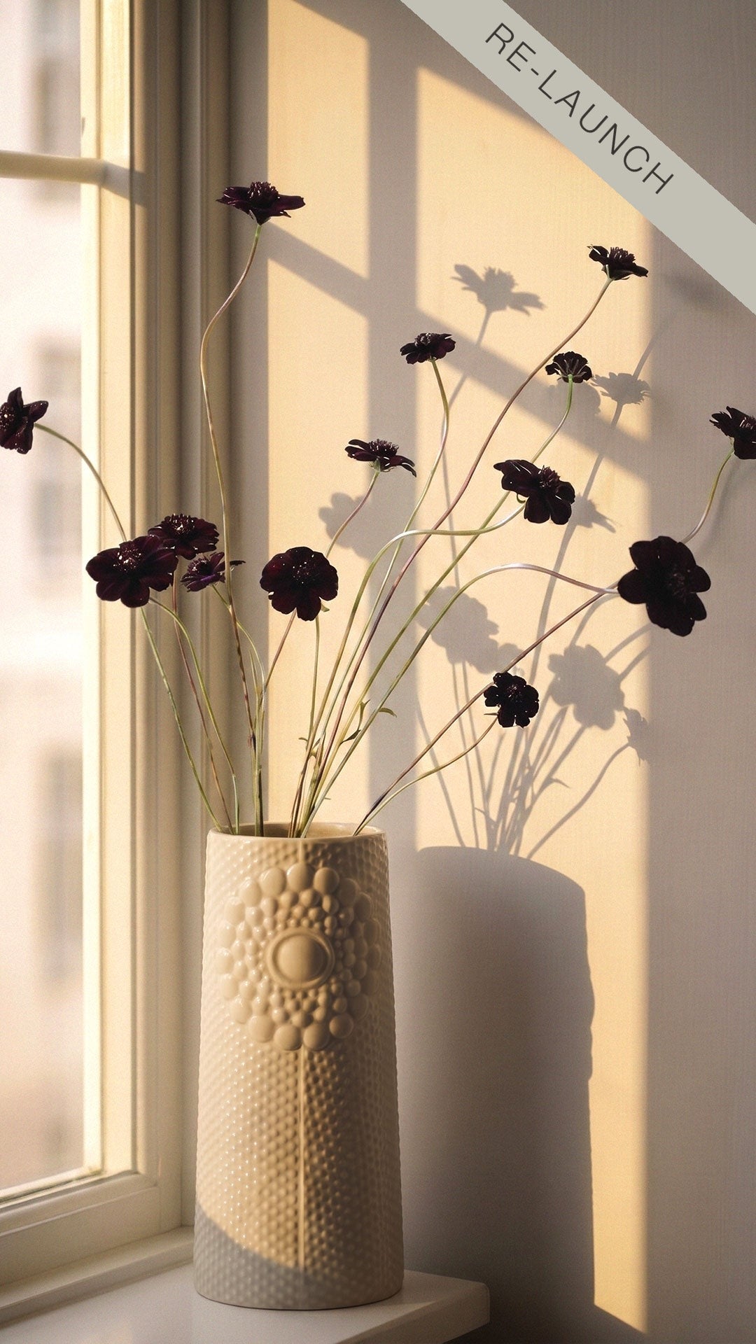 Pipanella Dot Oval Vase, Sandstorm