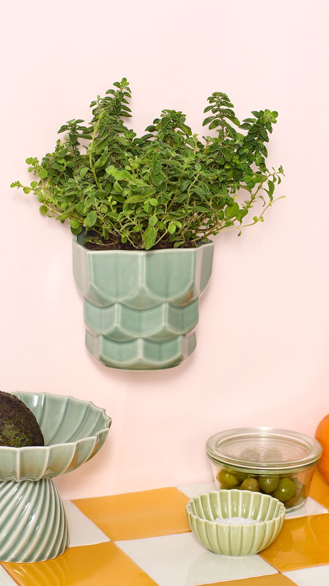 Samsurium Wall flowerpot small Eucalyptus